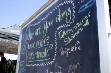 A chalkboard with "what are you doing to be more sustainable?" written on it.