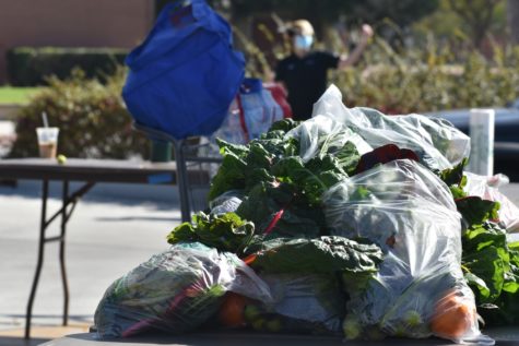 Produce bags filled with various fruits and vegetables were handed out during ASI's Veach Pantry event on Friday, February 5, 2020.