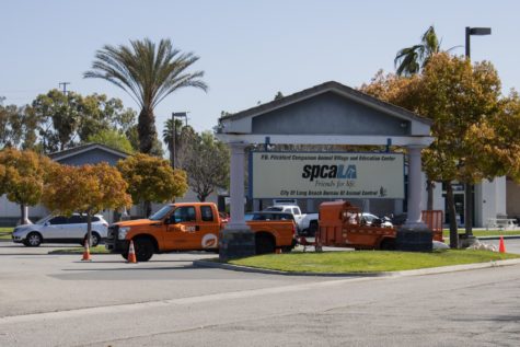 The SPCLA Friends For Life Animal Village and Education Center is a part of the City of Long Beach Bureau of Animal Control. The village consists of training and education for pet animals, adoption center, and a shop for pet necessities.