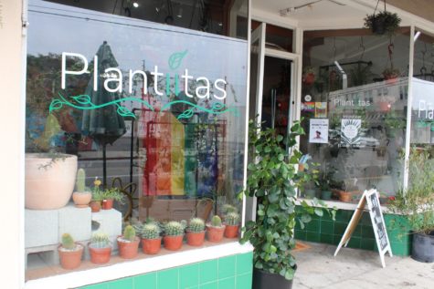 8/22/21 - LONG BEACH, CA: Located on 4th Street, Plantitas is a Queer and Person-Of-Color-owned business, looking to provide a place of healing in the community.