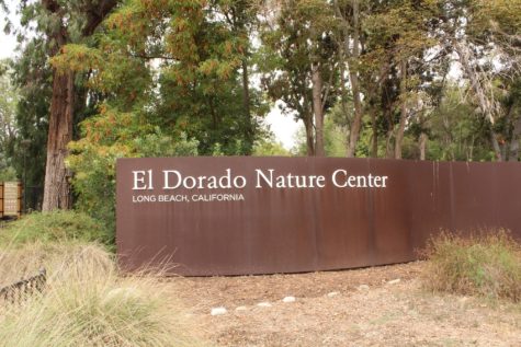 8/22/21 - LONG BEACH, CA: El Dorado Nature Center has two hiking trails that lead you through the scenery of trees and wildlife.