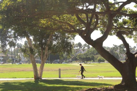 10/5/21 - LONG BEACH, CA: Going outside and getting light exercise like walking along a park path can be beneficial to strengthening mental health.
