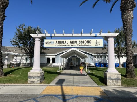 Long Beach Animal Care Services located at 7700 E. Spring St.