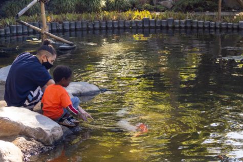 Eva Viss and her son William Burton sit on the edge of the pond at the Japanese Garden, petting the koi.