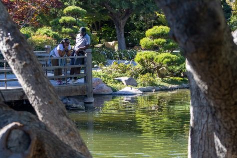 A couple quietly gazes across the koi pond at the Earl Burns Japanese Garden.