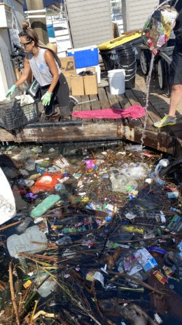 Attendee Crystal Wenrick, also helped make a dent in the overflow of waste, sticks and debris stuck along the Harborlight Landing boat dock.