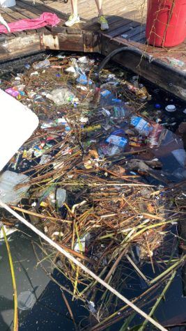 The trash that collects near the Queen Mary, is an overflow of debris mostly from the 52-mile L.A. River when it rains.