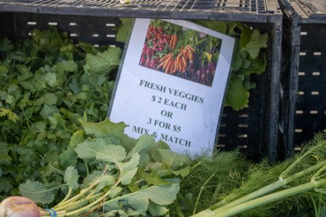 A pricing sign at a stand at Local Harvest farmers market located at Marine Stadium