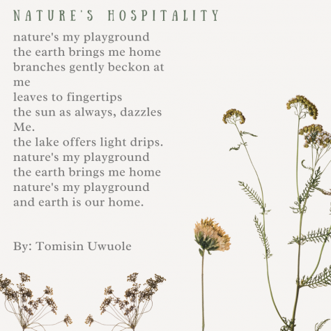 Nature's Hospitality a poem by Tomisin Uwuole