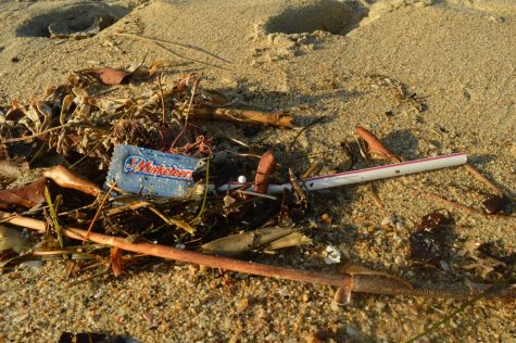 3 Musketeers and a straw mixed in other sea debris.
