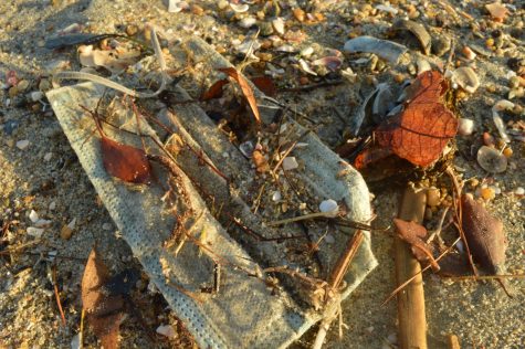 A mask covered in seashells and leaves left on the beach.