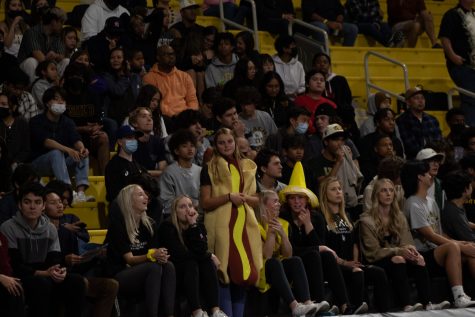 The student section faithful left home happy following a [22-25, 25-23, 26-24, 27-25] victory by Long Beach State men's volleyball against reigning national champions Hawaii on Friday, April 1at the Walter Pyramid.