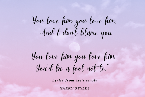 Lyrics from the bands new single Harry Styles.