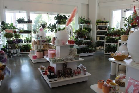 Plants, dried florals, pots, and curated gifts are some of the many products that Penelope Pots provides its customers.