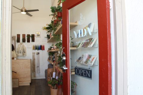 Vida Plant Shop is a small local shop that supports many local creators like women ceramic artists.
