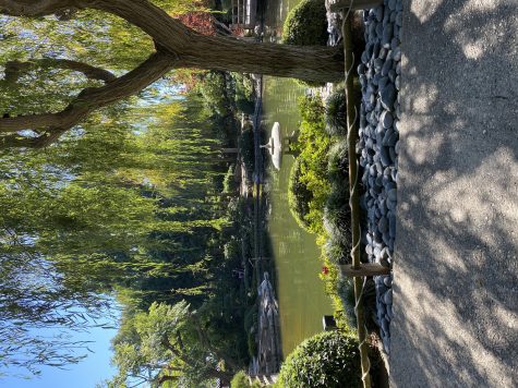 The koi pond is thecenterpiece of the Japanese Garden.