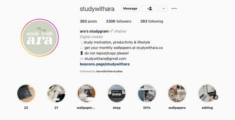 Screenshot of the "Studywithara" instagram account.