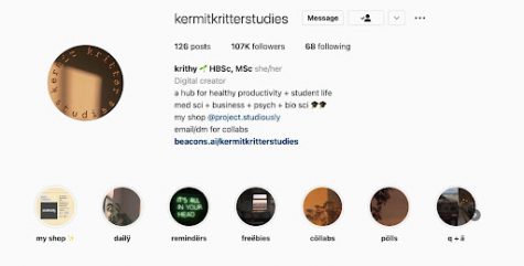 Screenshot of kermitkritterstudies' instagram account profile.