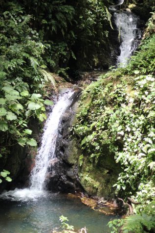 A scenic hike with a lot of waterfalls is at the Monteverde Cloud Forrest Biological Preserve