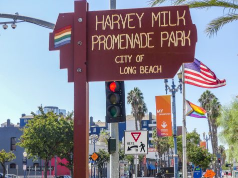 Harvey Milk and Promenade Park, off third street, was beautified and gives the small urban space a vibrant new change of scenery.