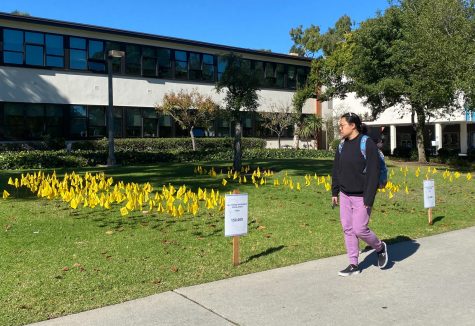 Every November at CSULB a Genocide Flag Installation is set up on the upper quad of campus for students to view in honor of the history of genocide the American Indians in California experienced.