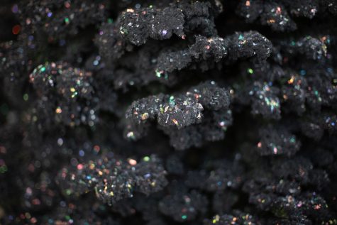 A close-up of a tree with Todd’s black flock and iridescent flecks.