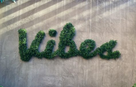 "Vibes" faux grass sign hung outside the café&squot;s back patio.