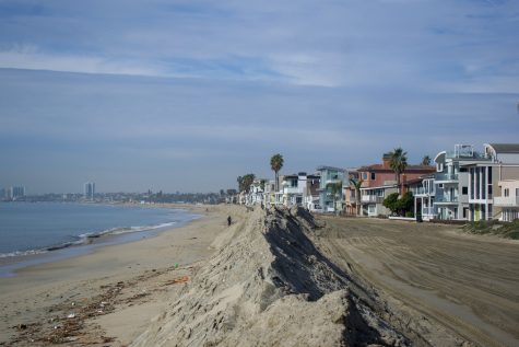 Brims stretch for miles along the Long Beach Peninsula to prevent more floods.
