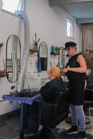 Stylist Dionne Pedroza works in transforming a clients hair color.