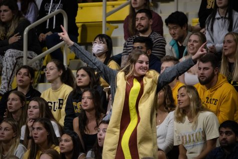 LBSU crowd dressing up in costume to cheer on their team. Photo by: Marlon Villa