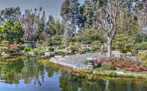 Take a stroll down the Earl Burns Miller Japanese Garden and enjoy the scenery with loved ones. The Earl Burns Miller Japanese Garden provides a budgetary option for dates.