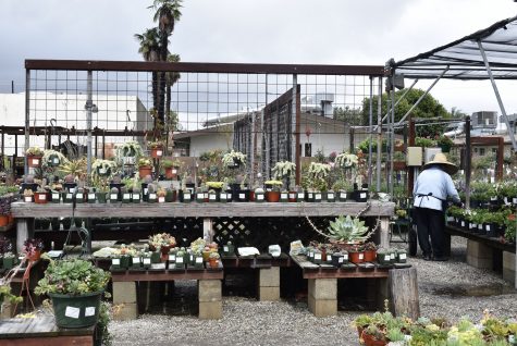 There is a very wide range of plants at H&H Nursery located in Lakewood. Families and friends are bound to be satisfied with the selection of this family-owned business.