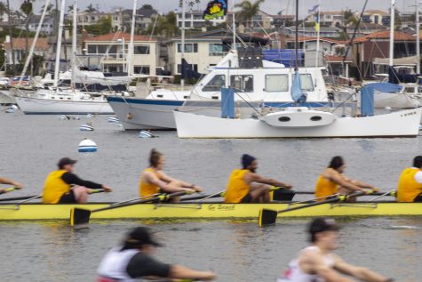 LBSU rowing team (yellow) in a race against San Diego State University rowing team (white) in the California Challenge Cup at Newport Beach. Photo credit: Maverick Marcellana