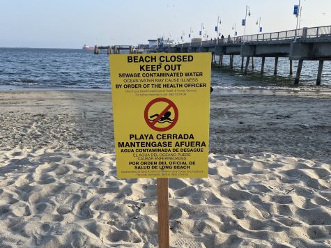 Signs displayed at the beaches let people know not to swim in the ocean.