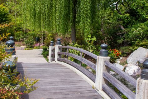 Bridge in Japanese Garden in CSULB.