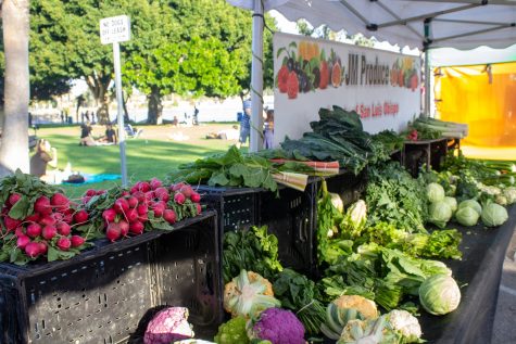 10/05/2022 - LONG BEACH, CA: The seasonal produce is available every Wednesday at the Farmers Market.