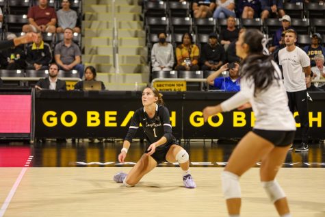 Long Beach State women's volleyball redshirting sophomore, setter, Zayna Meyer tracks an incoming lowball. Meyer helped her team get the victory over UCSD with 39 service ace points over the course of the game.