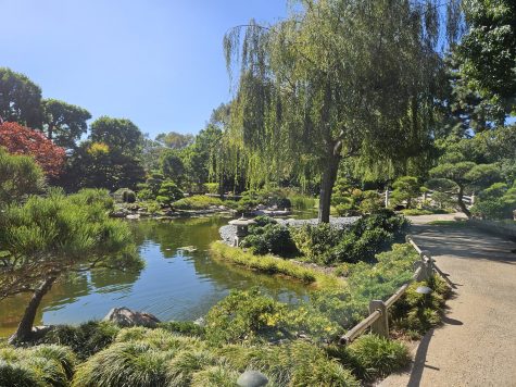 Students can walk along the looping path to explore the tranquil koi pond and garden.