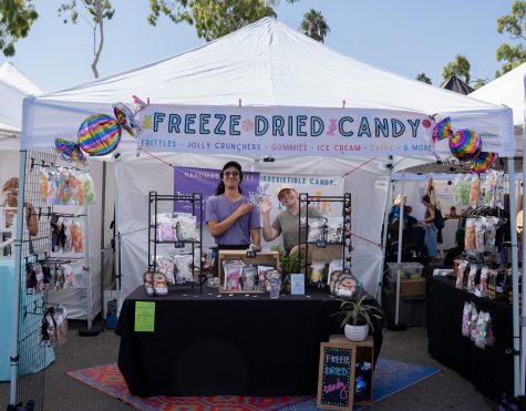 The Candy shop sells freeze-dried candy like Skittles, a variety of gummies and even ice cream sandwiches and cones. The pop-up shop sold snacks ranging from $8 to ten dollars.