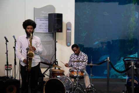 The jazz ensemble, Music in the Moment performed in front of the Honda Blue Cavern for event attendees. A blend of classics could be heard from the aquarium's entrance from soothing harmonies to vibrant solos from the saxophonist and bassist.