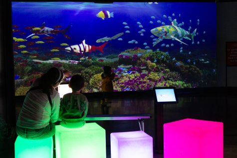 3/23/2024 - Located right outside the Honda Pacific Visions Theater is a space where attendees can color their own fish and have it be projected on the screen in front of them.