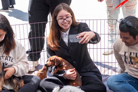 3/19/24 - Long Beach, Calif: Samantha Tapia, a first-year pre-psychology major, was one of many people waiting in line to hang out with the puppies. With the students rapping around the gate, the dogs ran all around across the boundaries with energy.