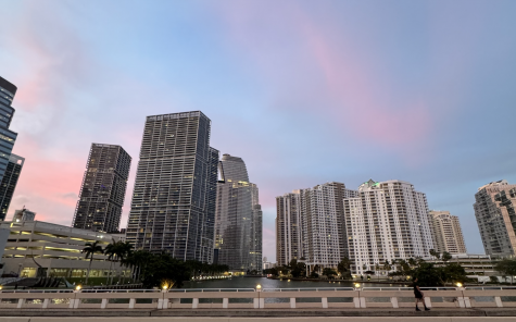 Exploring the captivating city of Miami Beach, with beautiful views of the Miami skyline.